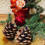 eine adventskerze und tannenzapfen