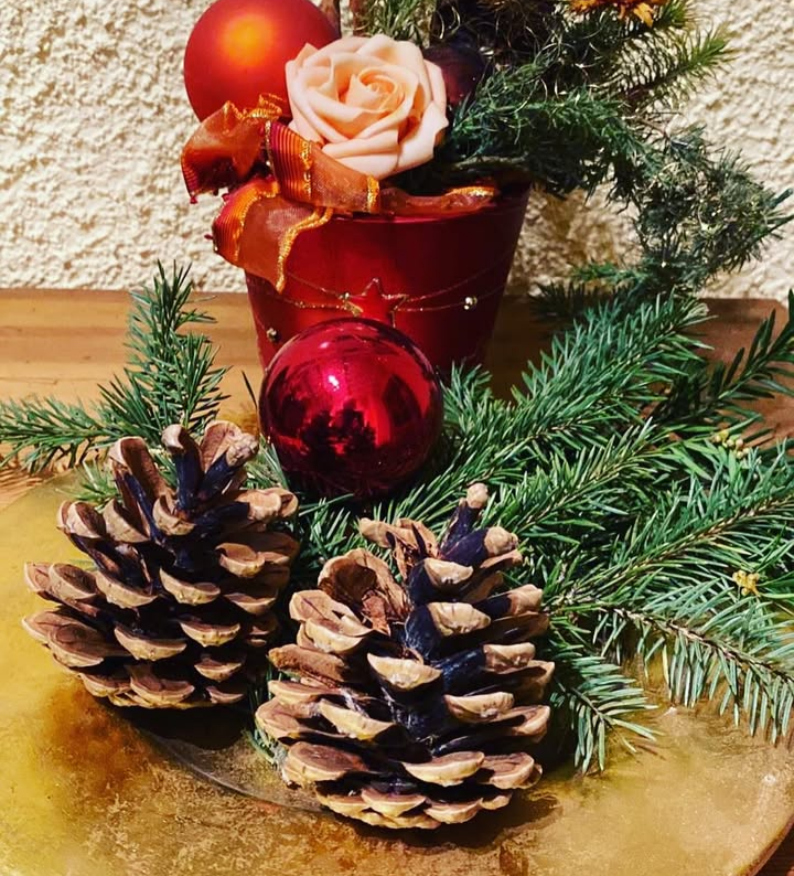 eine adventskerze und tannenzapfen